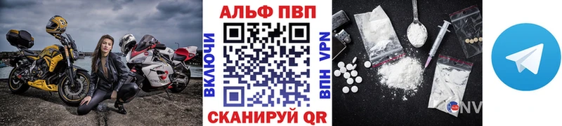 OMG сайт Славгород APVP СК